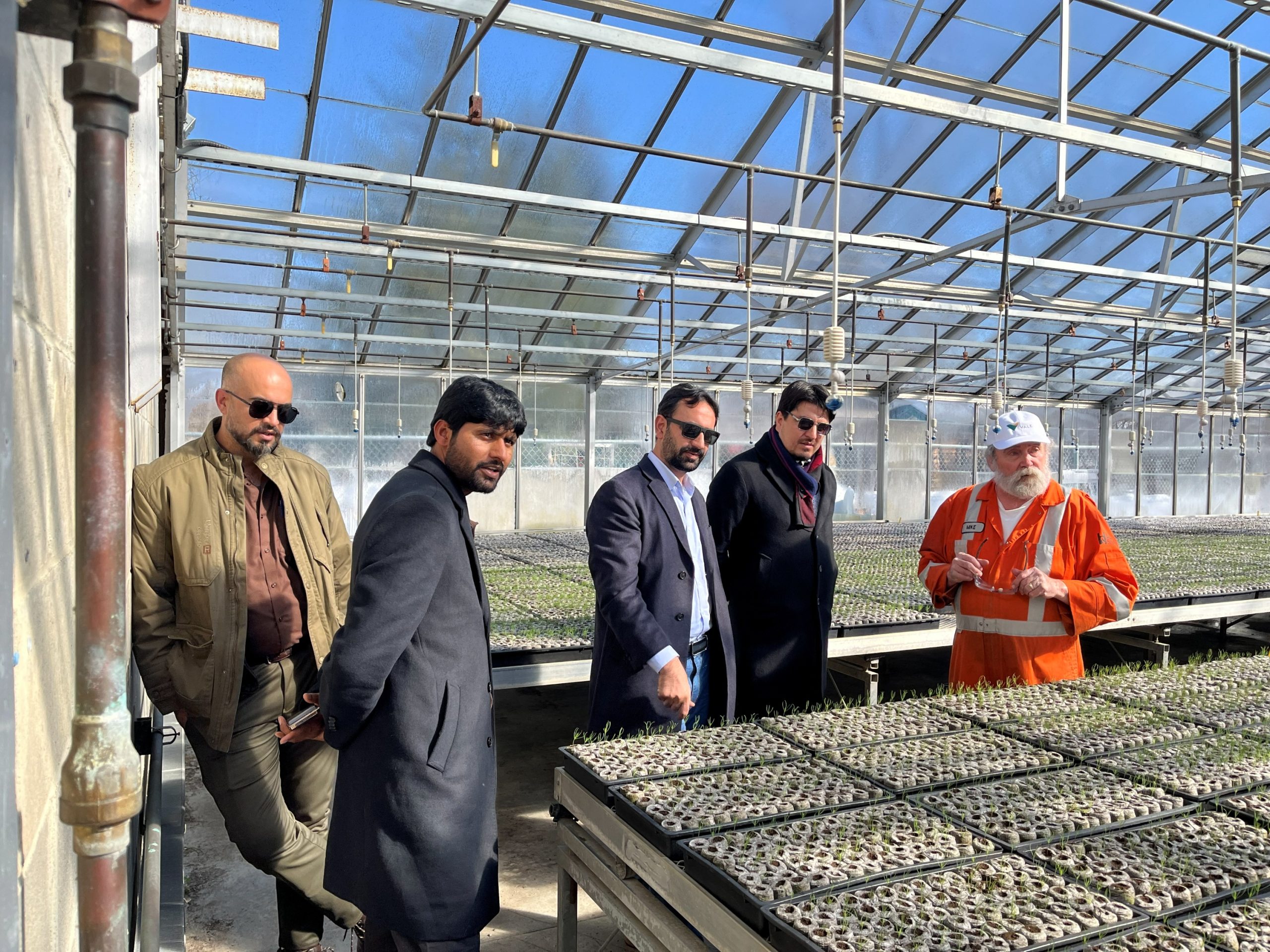 Participants during a technical field visit at a greenhouse facility